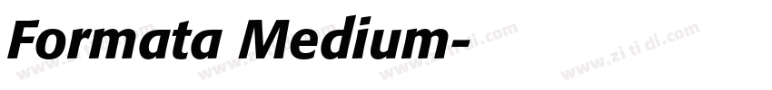 Formata Medium字体转换